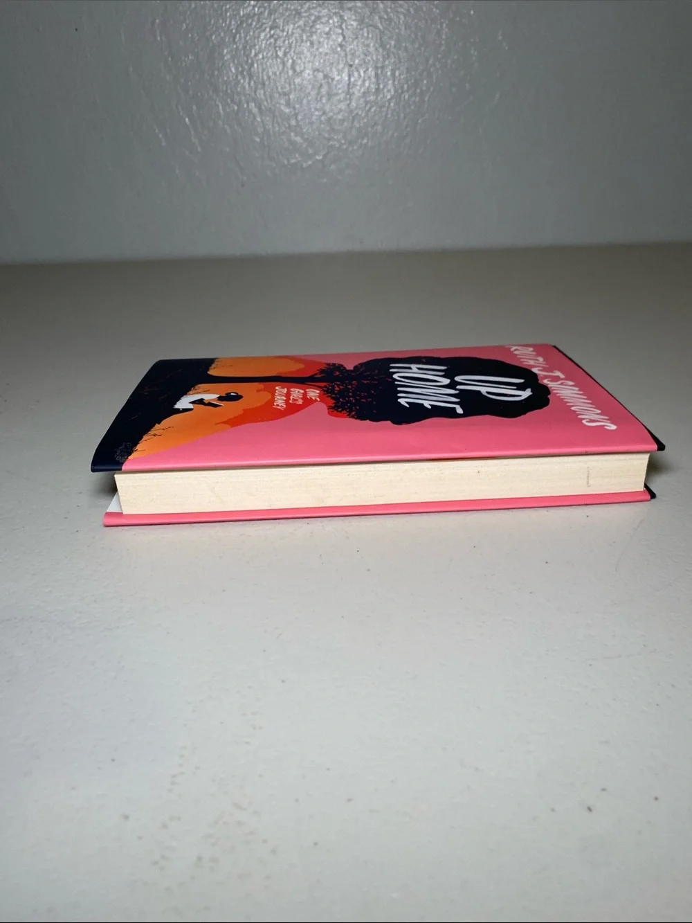 Up Home Decorative Book Cover - Pink